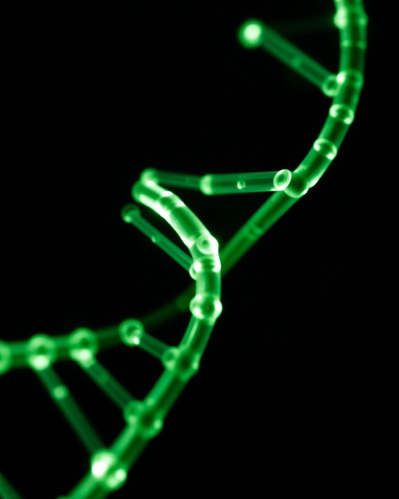 Genome